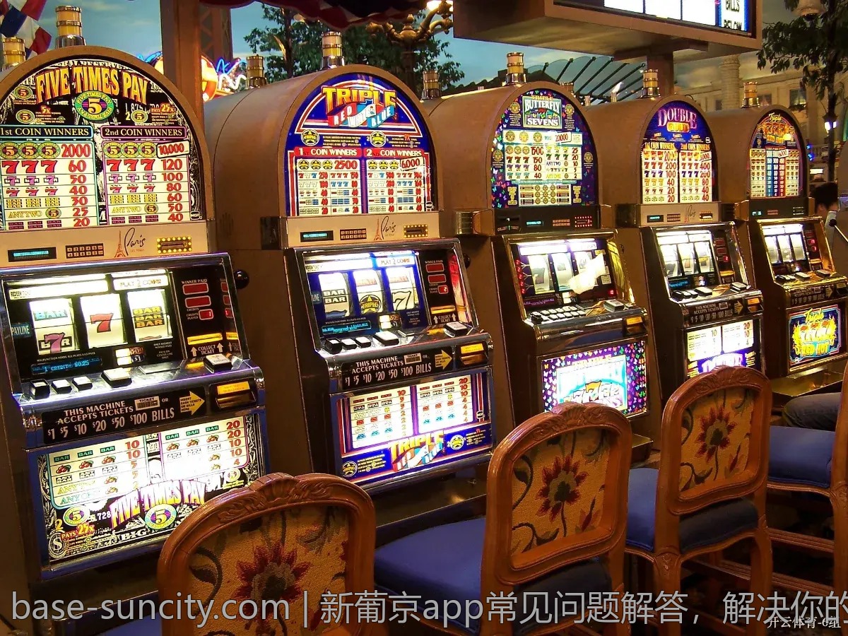 新葡京app常见问题解答，解决你的疑惑