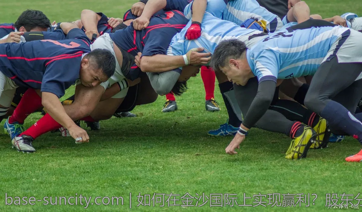 如何在金沙国际上实现赢利？股东分享见解