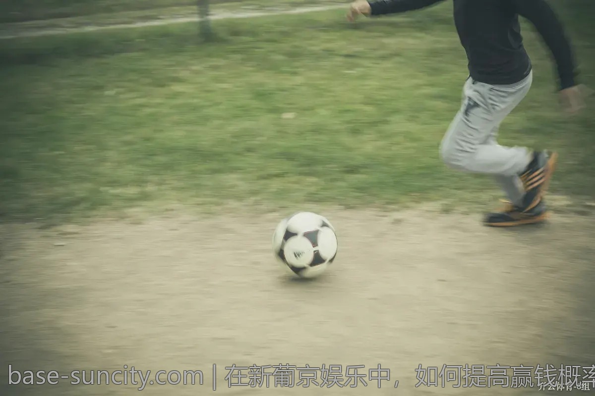 在新葡京娱乐中，如何提高赢钱概率？